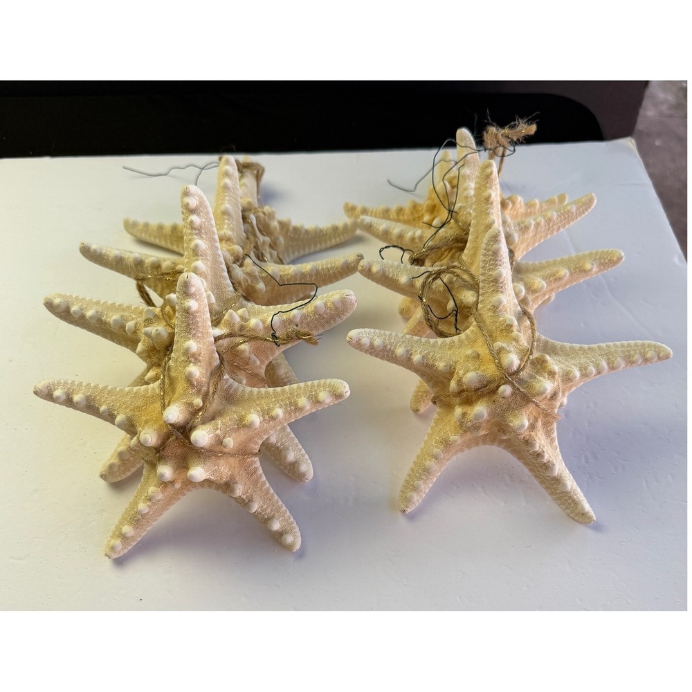 Natural Knobby Starfish Ornaments Set of 8 Cream White Beach Coastal Nautical 5"